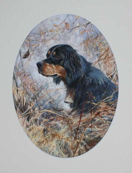 5133 - "Portrait de Setter Gordon"