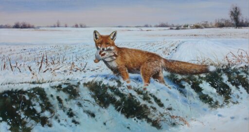 N° 5593 "La chasse du renard"