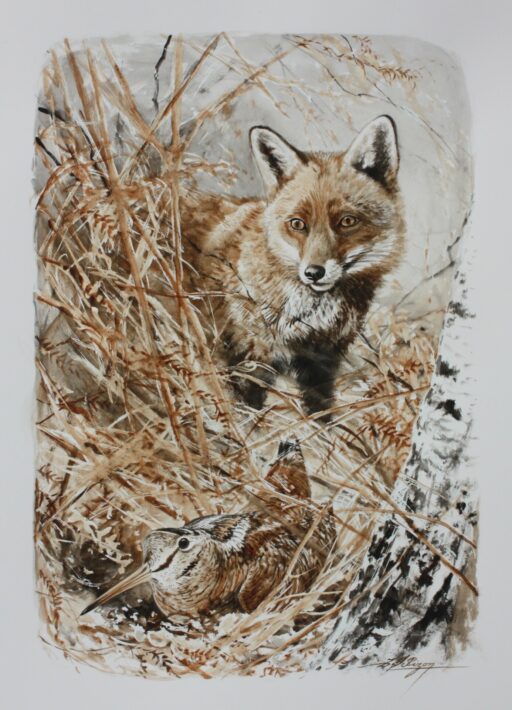 N° 5913 -"Renard, arrêt sur bécasse"