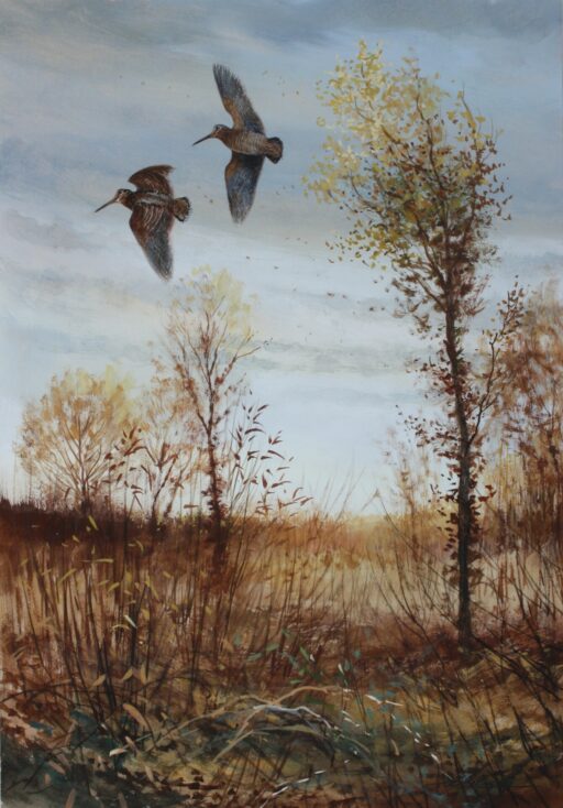 N° 5945 - "Pairon d'automne"