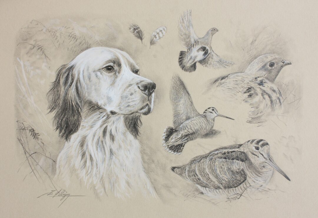 N° 5960 - "Setter anglais, grise et rousse"
