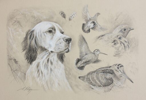 N° 5960 - "Setter anglais, grise et rousse"