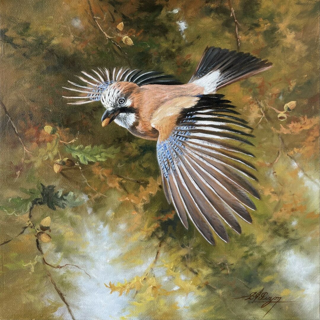 N° 6050 - "Le geai des chênes"
