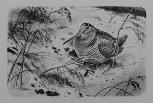 Panier N° 6066 - "Hiver bécassier"