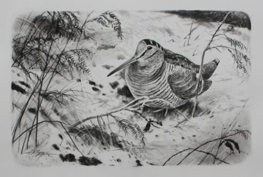 Panier N° 6079 - "Hiver bécassier"