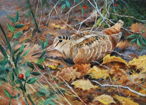 6095 - "Dans les fragons"