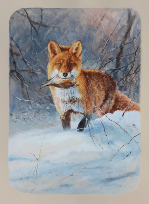 6214 - "Renard à la chasse"