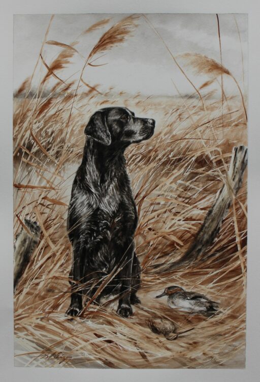 N° - 6225 "L'attente"