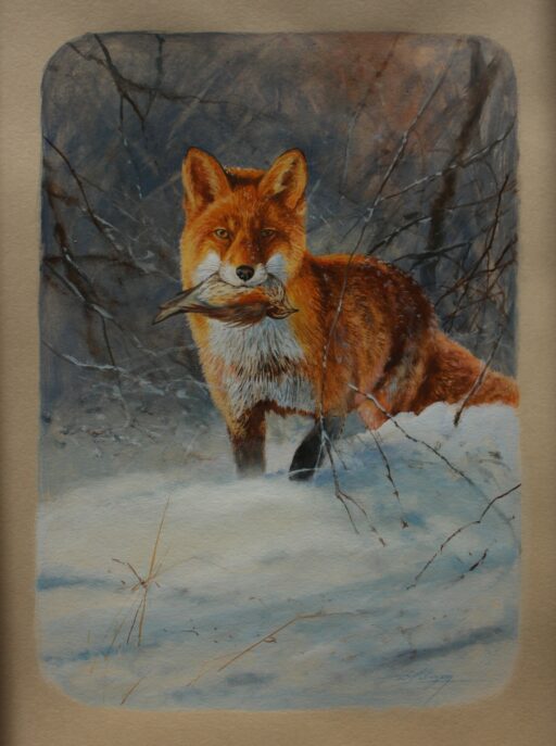 6192 - "Renard à la chasse"