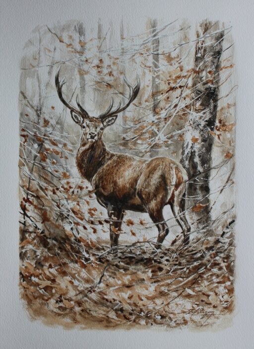 N° 6310 - "Rencontre avec le cerf"