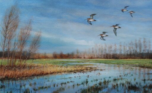 N° 6313 - "Vol de bécassines"