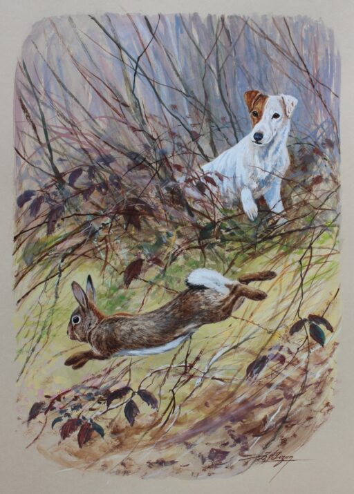 N° 6234 - "Déboulé de lapin"