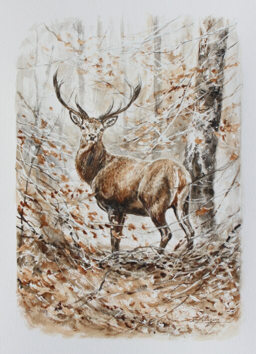 N° 6495 - "Rencontre avec le cerf"