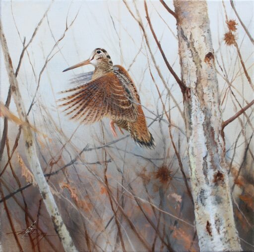 N° 6503 - "Ascension"