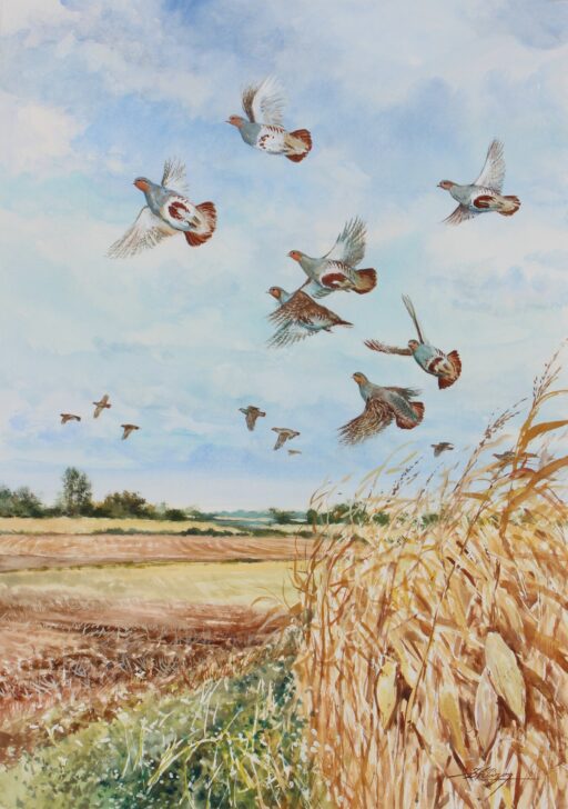 N° 6510 - "Une autre époque"