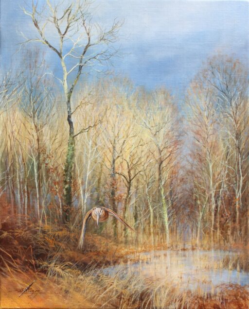 N° 6505 - "Le coeur de la forêt"