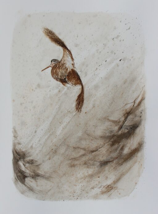 N° 6521 - "Sous la pluie"